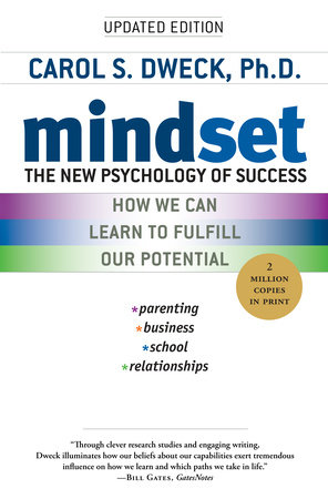 mindset book